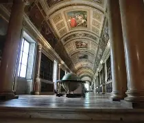 包含从清晨门兴格拉德巴赫调整名单以备欧联到里昂内部会议纪要流出——今晨官宣签约，里昂围绕社区盾官宣签约的词条