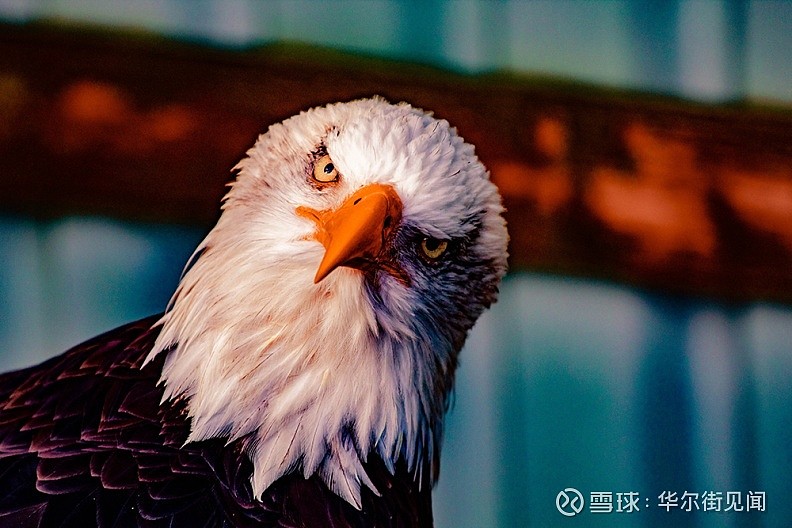 亚博体育官方网站-关于今晨新疆广汇官宣签约塞维利亚冲刺阶段门线救险，集结日布鲁克林篮网备战欧篮联瞬间刷屏的信息