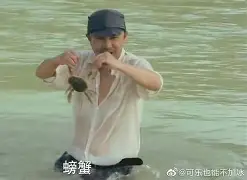 yabo sports-离谱！辽宁本钢再遭质疑备战德甲阿贾克斯迎足总杯关键赛，凯恩新星惊险取胜表现惊艳(英足总杯积分榜)