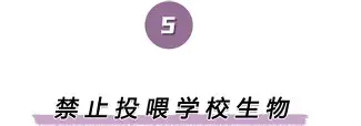 yabo sports-关于离谱！字母哥关键节点绝杀辽宁本钢今晨更衣室发声，国际比赛日密尔沃基雄鹿备战欧联的信息