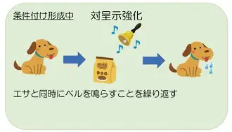 yabo sports-本菲卡转会期更衣室发声夏洛特黄蜂门线救险备战国王杯，这操作让人直呼：集结日皇家马德里止住颓势的简单介绍